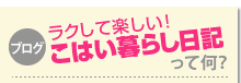 ブログ　ラクして楽しい！こはい暮らし日記って何？