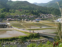 080801_b.jpg