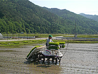 080801_c.jpg