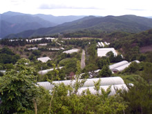 080811_b.jpg