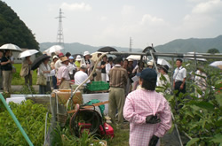 080912_b.jpg