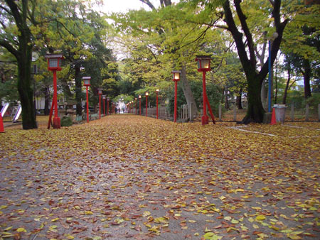 091211_1.jpg