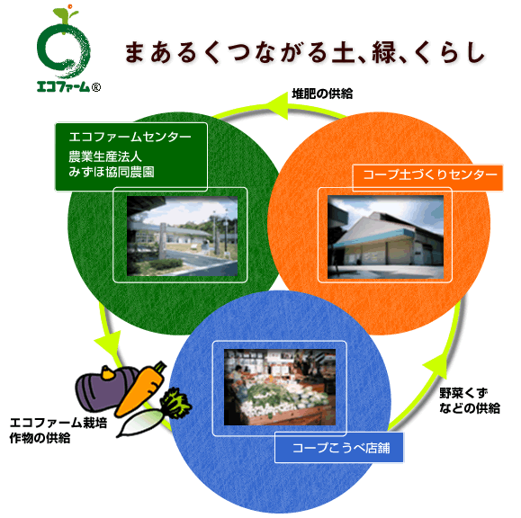 pic_index_01.gif