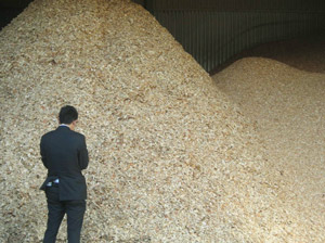 wood_4.jpg