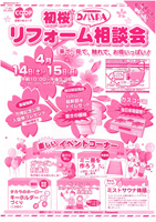 ディリパ初桜.jpg