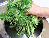 菊菜のおひたし